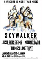 HARDCORE IS MORE THAN MUSIC: Skywalker / Just For Being / Kronstadt / Things Like That